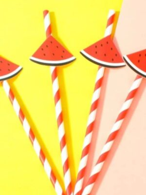 Watermelon Paper Straws