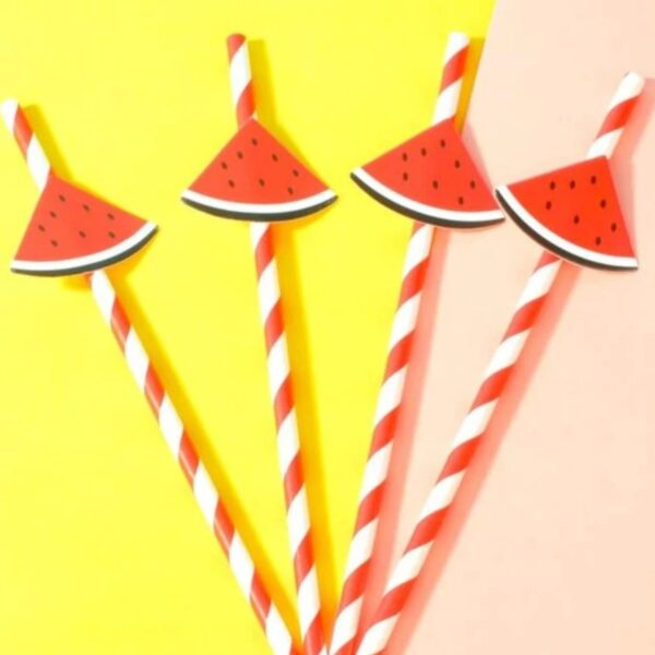 Watermelon Paper Straws