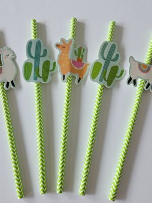 CactusLLama Paper Straws