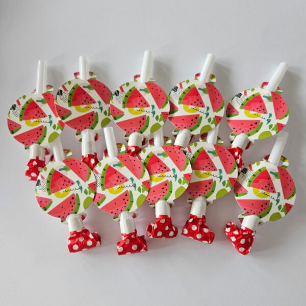 Watermelon Party Favors 10 Piece