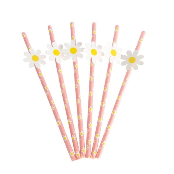 Daisy Paper Straws 10 Piece