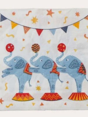 Circus Themed Paper Napkins 24 Piece