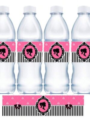Barbie Silhoutte Waterbottle Labels 10 Piece