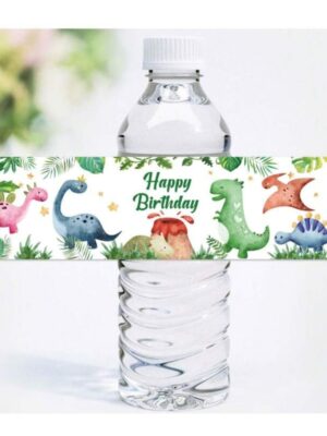 Dino Waterbottle Labels 10 Piece