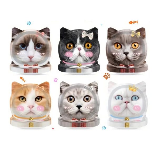 Cat Party Paper Plates Party Supplies for Cat Themed Party